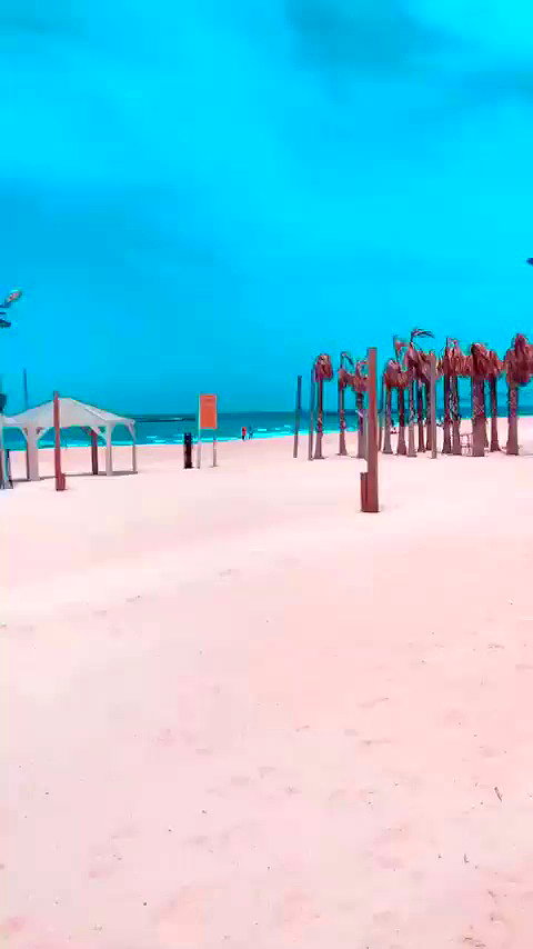 sonia_litvanchuk archive video preview