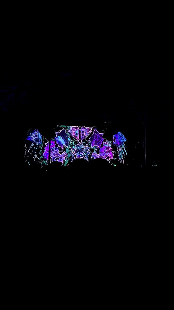 _.shelichka._ archive video preview