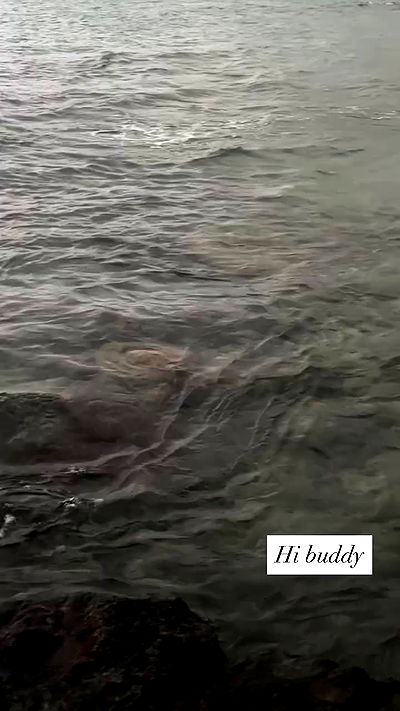 tatum.ricee tatum.ricee archive video