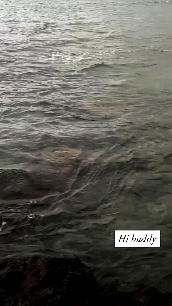 tatum.ricee archive video preview