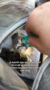 gabbyepstein Altpins Profile Picture