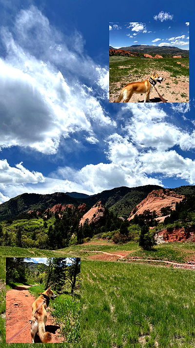 thelizzyporter thelizzyporter archive video