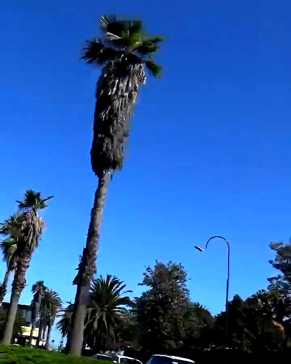 godbless_jess archive video preview