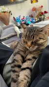 shanidahan7 Altpins Profile Picture