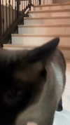 lolontlia Altpins Profile Picture