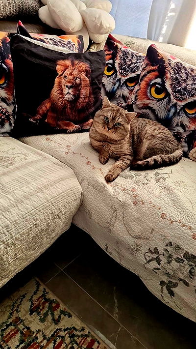 yuri.gever yuri.gever archive video