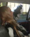 mariahcarey Altpins Profile Picture