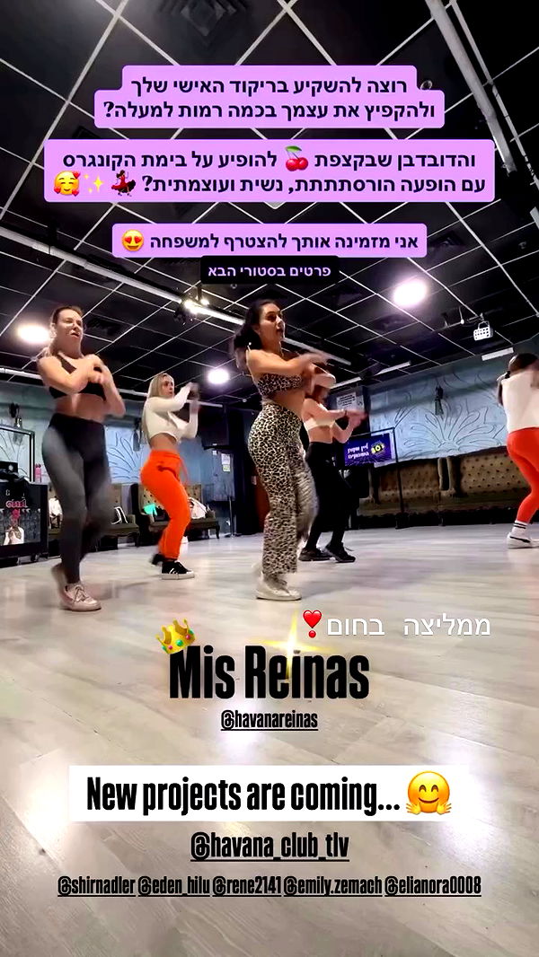 rene2141 archive video preview