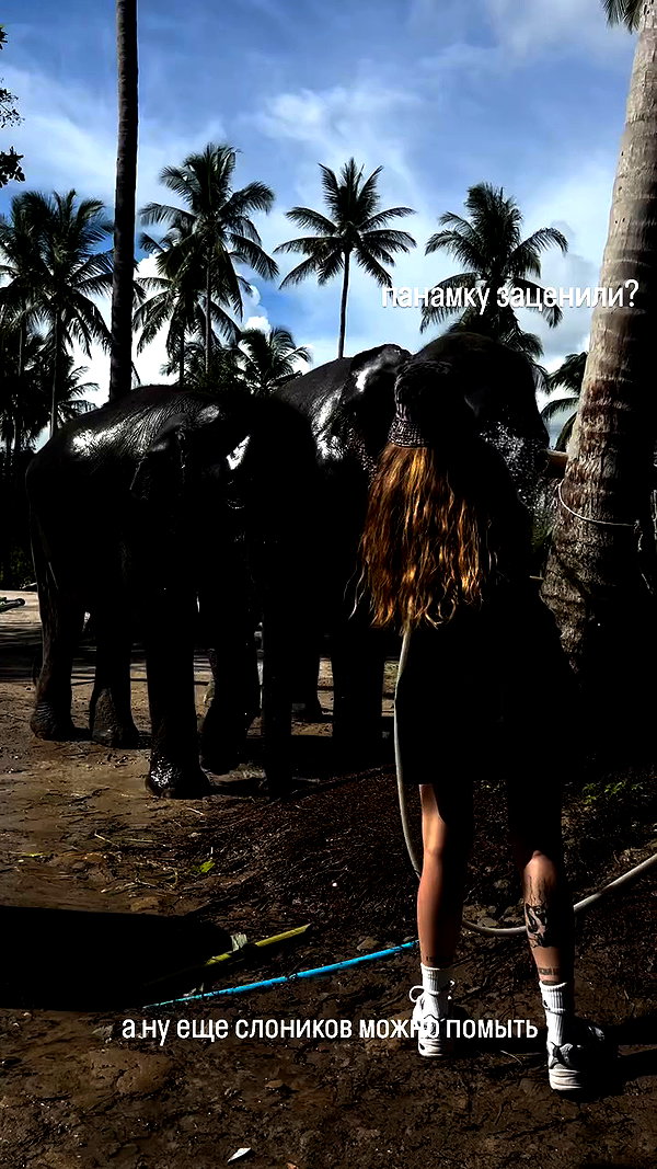 orman.mariee archive video preview