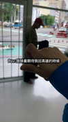 andy_jhuang Altpins Profile Picture