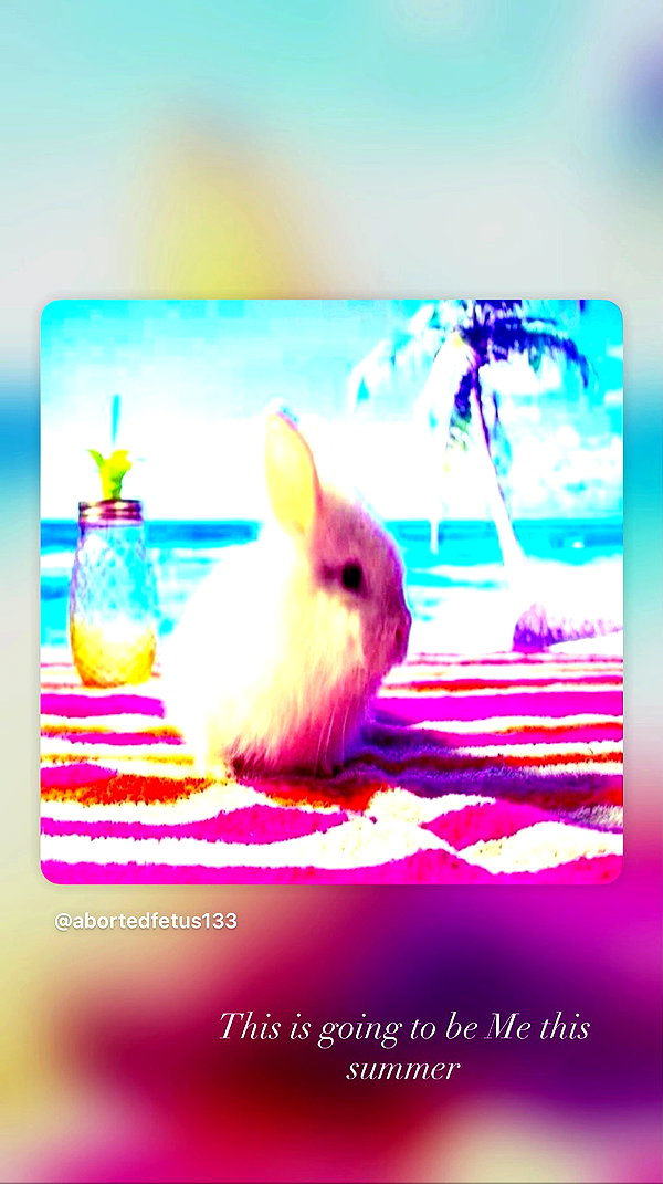 alexalizzz archive video preview