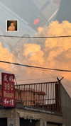 rouxroux.tv Altpins Profile Picture