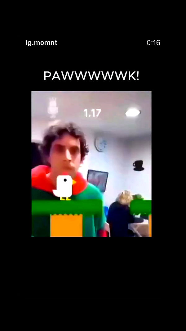 assoolin archive video preview