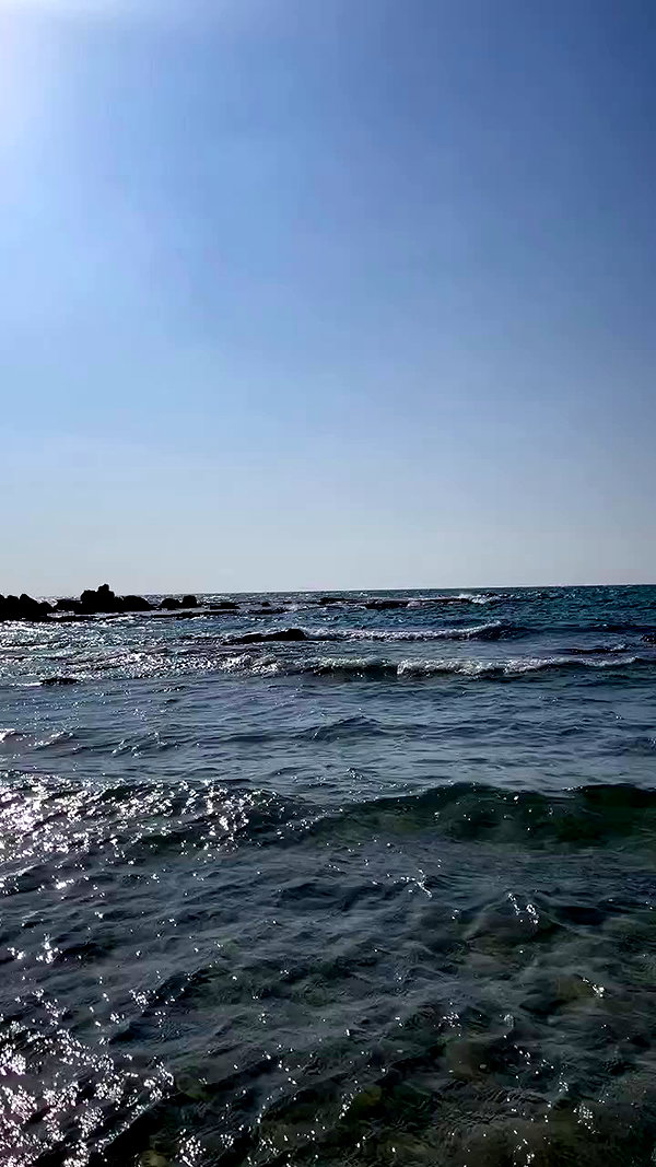 galibilaus archive video preview