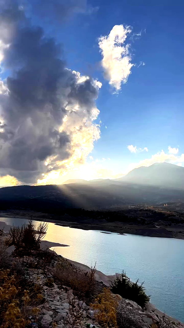 swfx_real archive video preview