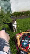 jahia_brown Altpins Profile Picture