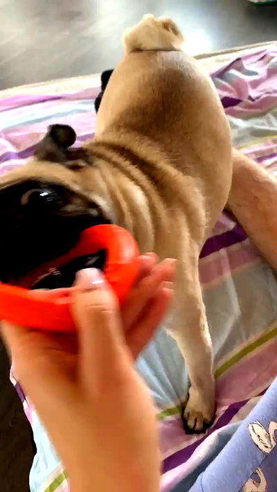 nyityam nyityam archive video