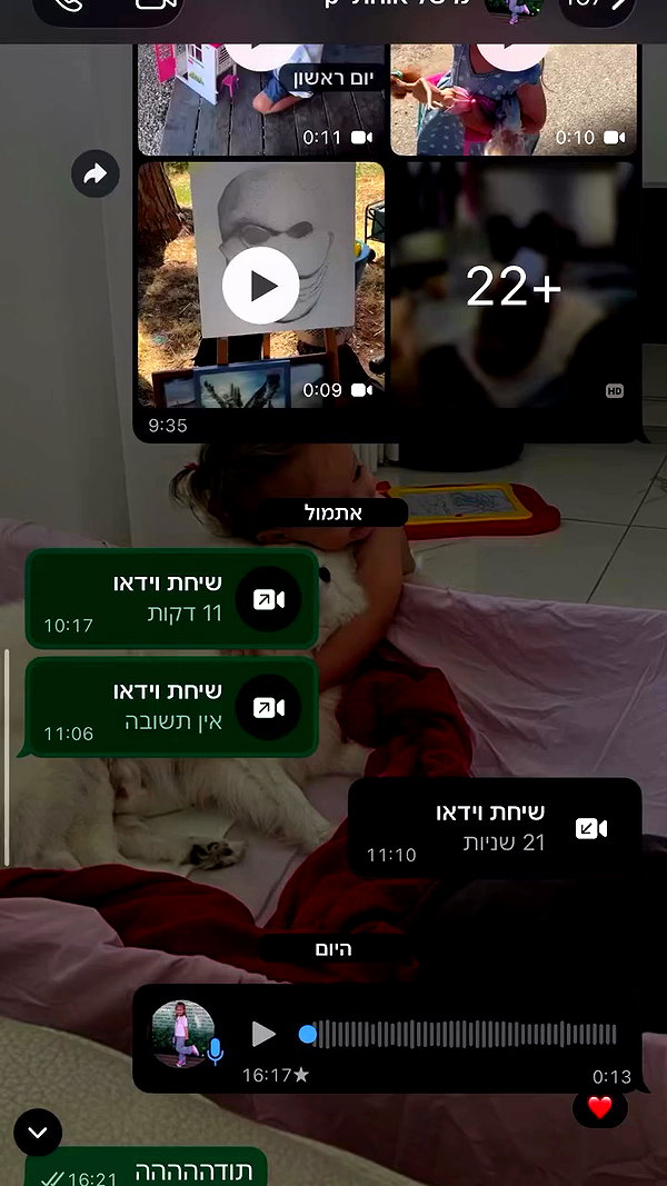 leebarbie archive video preview