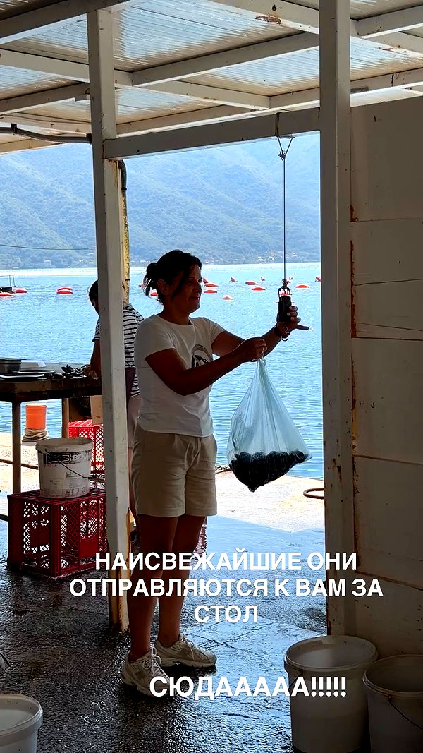 pokrov90 archive video preview