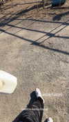 iampocoloco Altpins Profile Picture