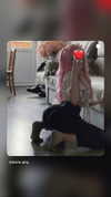 darlo.amy Altpins Profile Picture