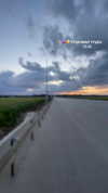 mishel_d_ Altpins Profile Picture