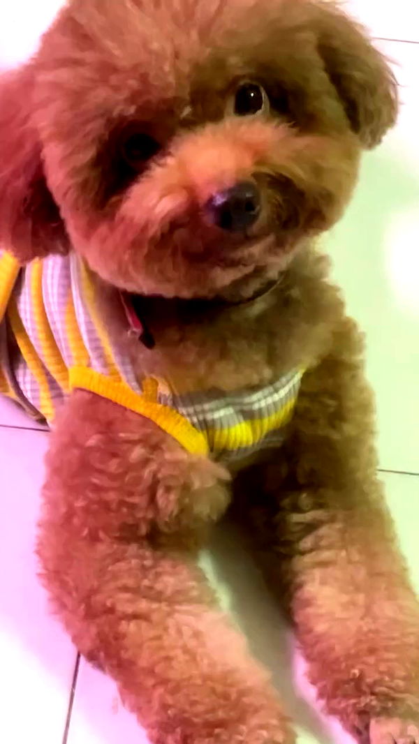 kteaworld archive video preview