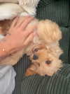 sophiecharlotth Altpins Profile Picture