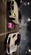 simp_for_cats_ Altpins Profile Picture