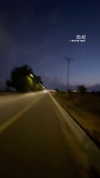 mishel_d_ Altpins Profile Picture