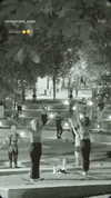 gissell_eli Altpins Profile Picture