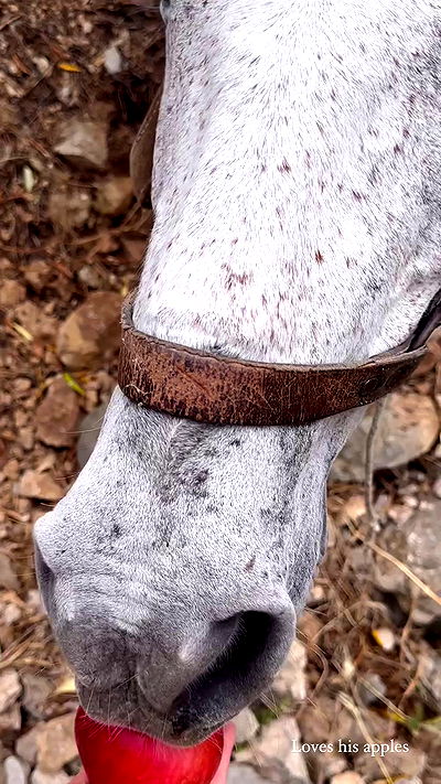 taylor.creeden taylor.creeden archive video