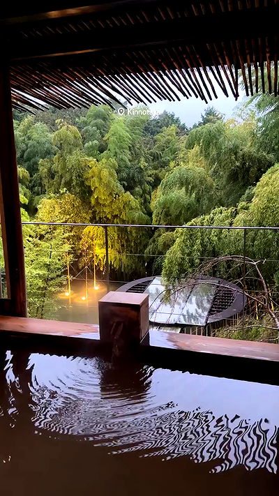 taylor.creeden taylor.creeden archive video