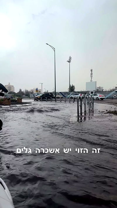 avitallllllllllllllll avitallllllllllllllll archive video