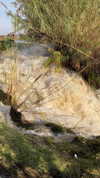 miikheeva_stasiiya Altpins Profile Picture