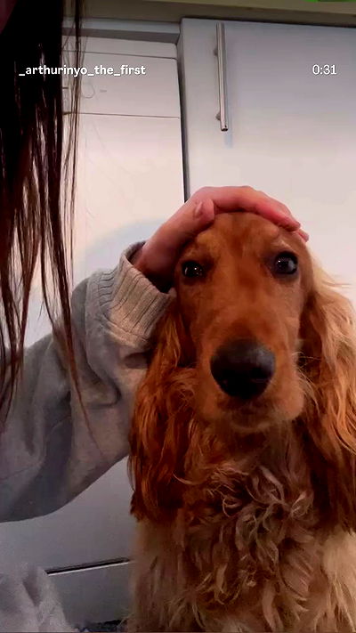 moonliliaght moonliliaght archive video