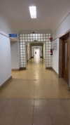 _broock_ Altpins Profile Picture