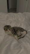 sonia_litvanchuk Altpins Profile Picture
