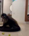 vanessa.rhd Altpins Profile Picture