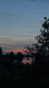 bulochka__777 Altpins Profile Picture