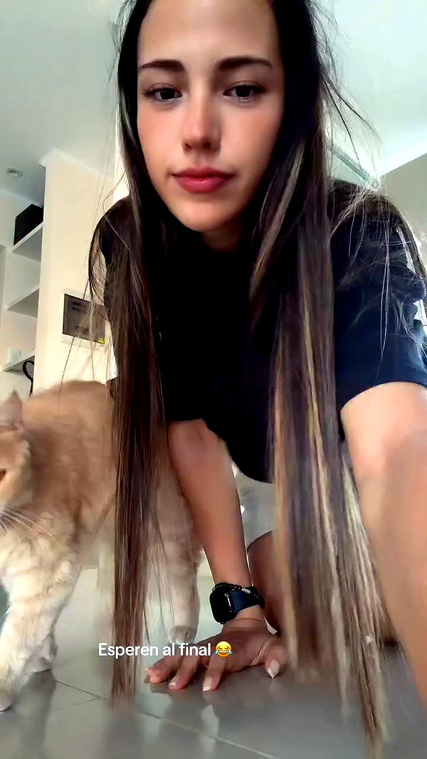 _aldibernardo archive video preview