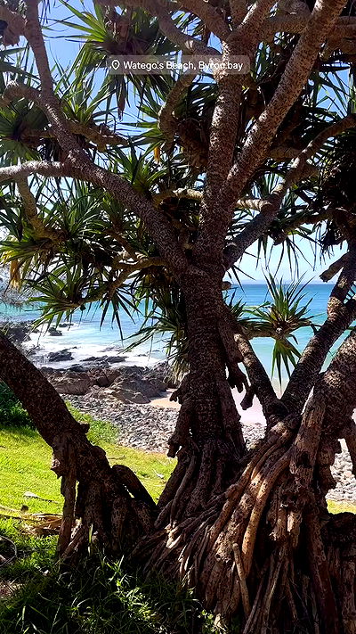 taylor.creeden taylor.creeden archive video