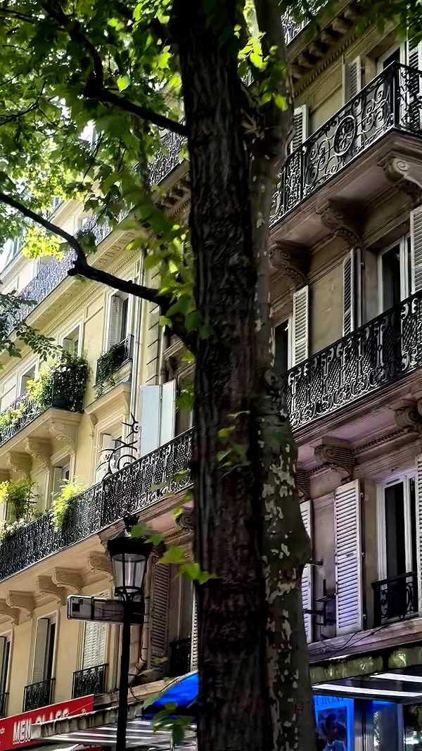 sophiecharlotth archive video preview
