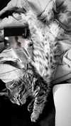 mon5tro5ity Altpins Profile Picture