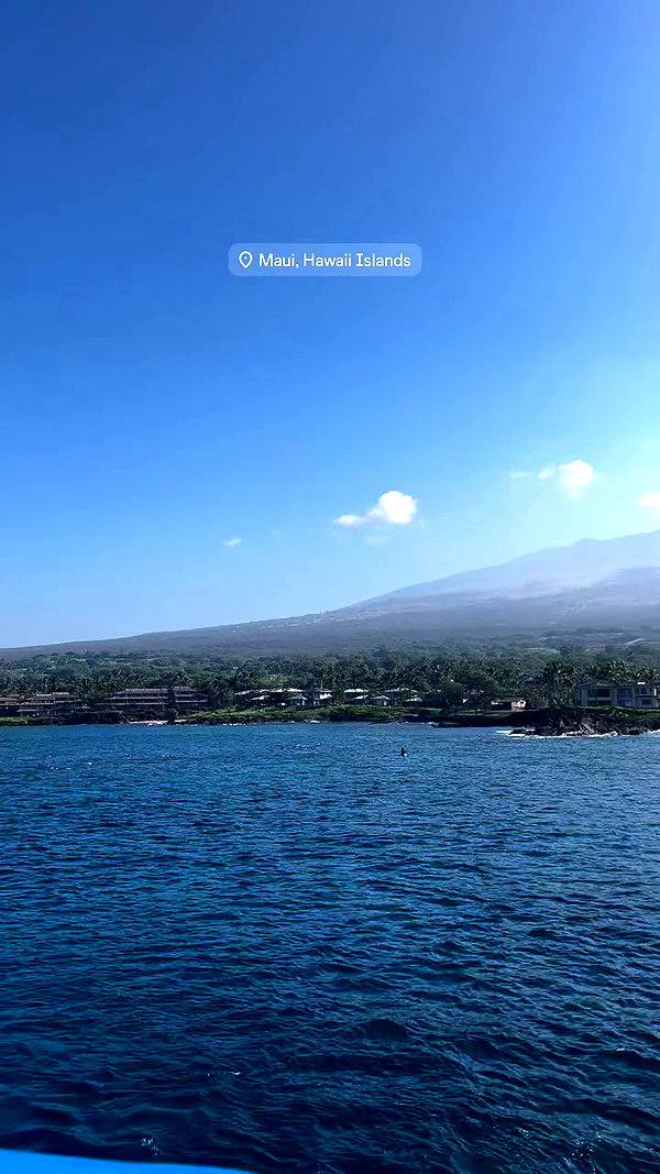 maori_cohen archive video preview