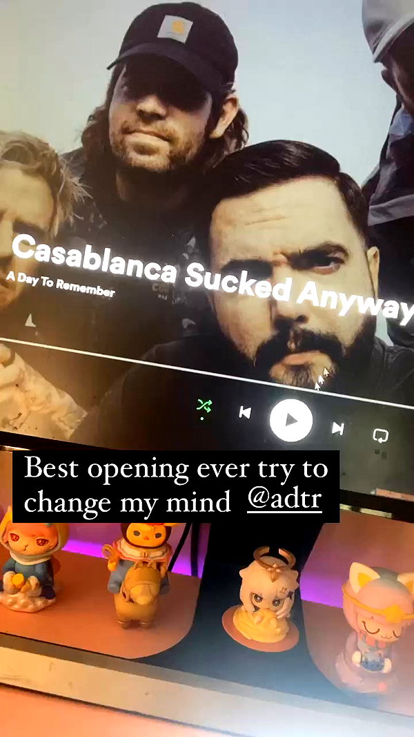 bunnyhazed archive video preview