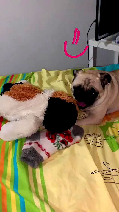 nyityam nyityam archive video