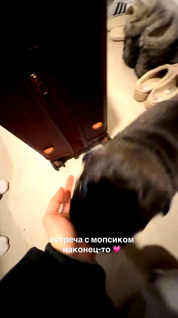 pokrov90 archive video preview