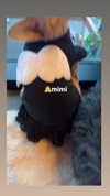 darkstar_mia Altpins Profile Picture