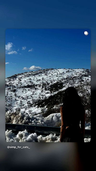 simp_for_cats_ simp_for_cats_ archive video